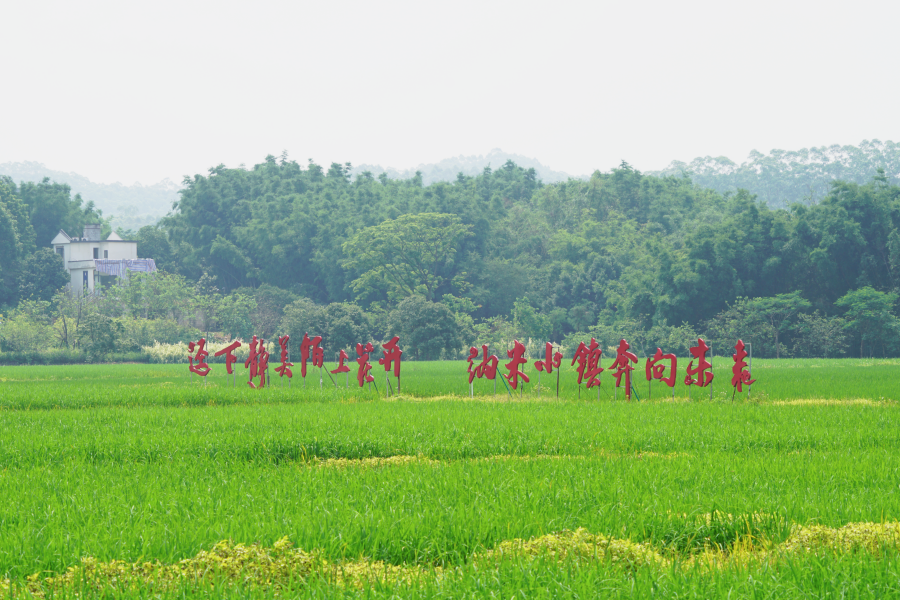 风景如画的迳下村_副本.png